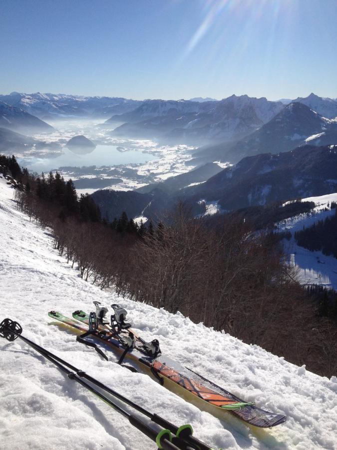 Panorama *